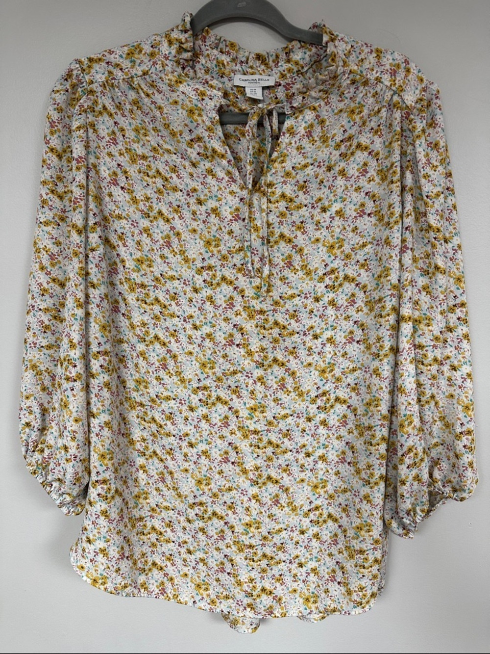 Carolina Belle Floral Long Sleeve Pull Over Blouse 1X